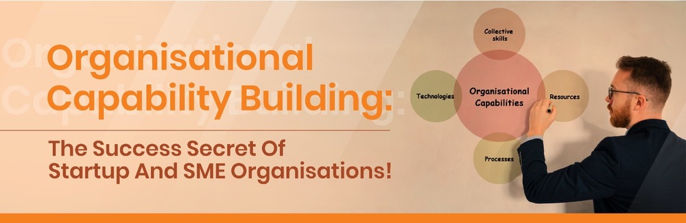 Organisational Capability Building: The Success Secret Of Startup And SME Organisations!